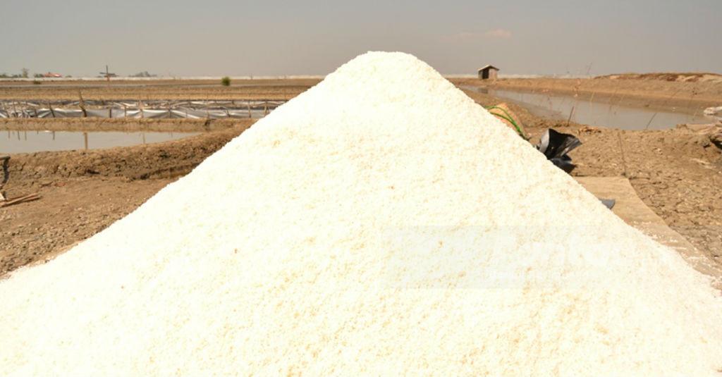 Agar Bisa Memasok Industri, Menteri Edhy Janji Benahi Produksi Garam Rakyat