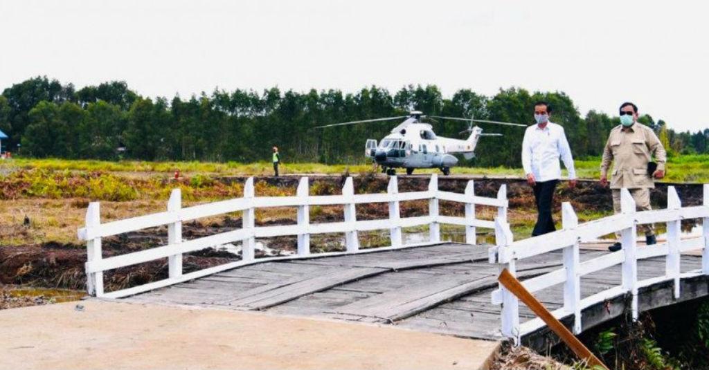 Presiden Jokowi Tinjau Lokasi Pengembangan Food Estate