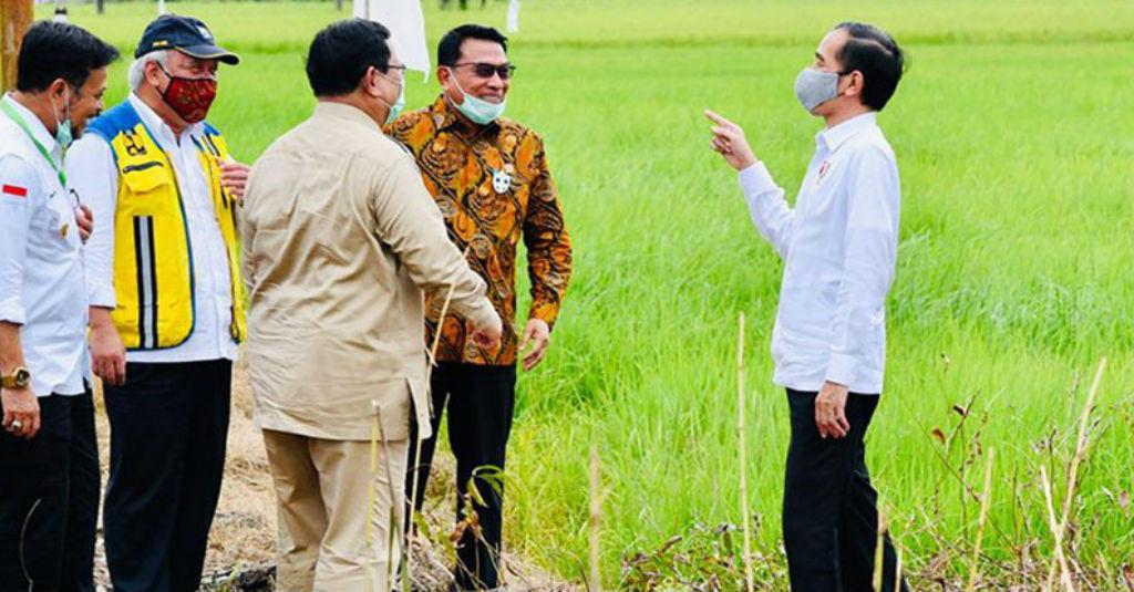 Kementan Dorong Pola Pertanian Terpadu Demi Wujudkan Lumbung Pangan