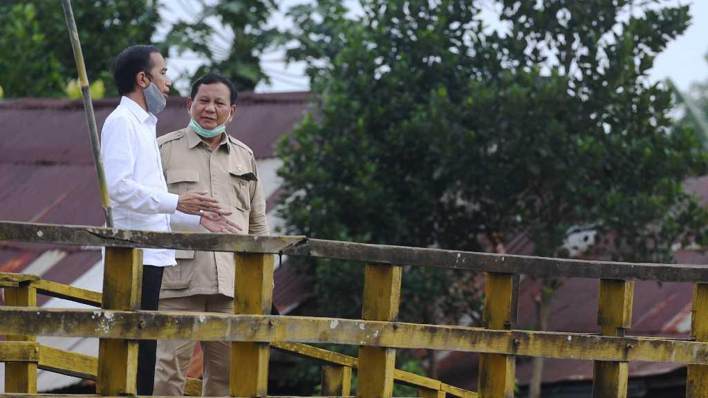 Jokowi Ungkap Alasan Menhan Prabowo Pimpin Lumbung Pangan di Kalteng