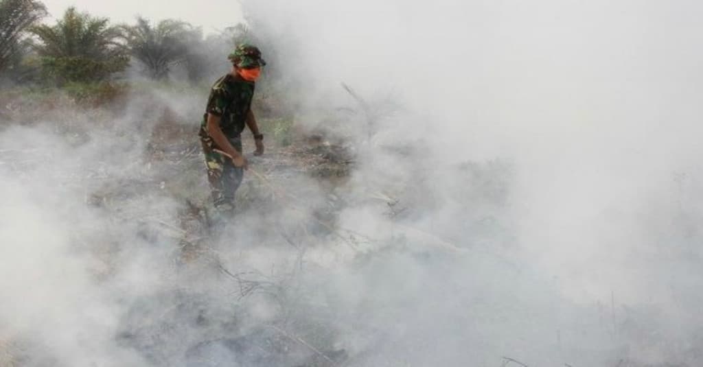 Duh, Sebagian Perusahaan Perkebunan Tak Hadiri Rapat Pencegahan Karhutla