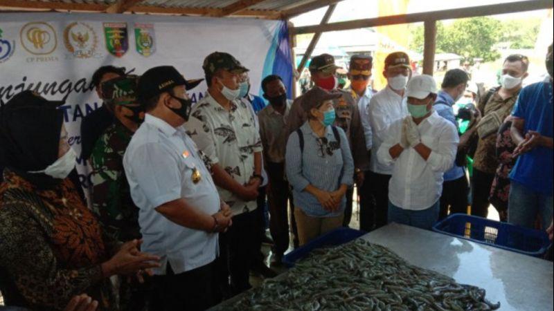 Menteri Edhy Minta Budi Daya Udang di Lampung Timur Dikelola Intensif