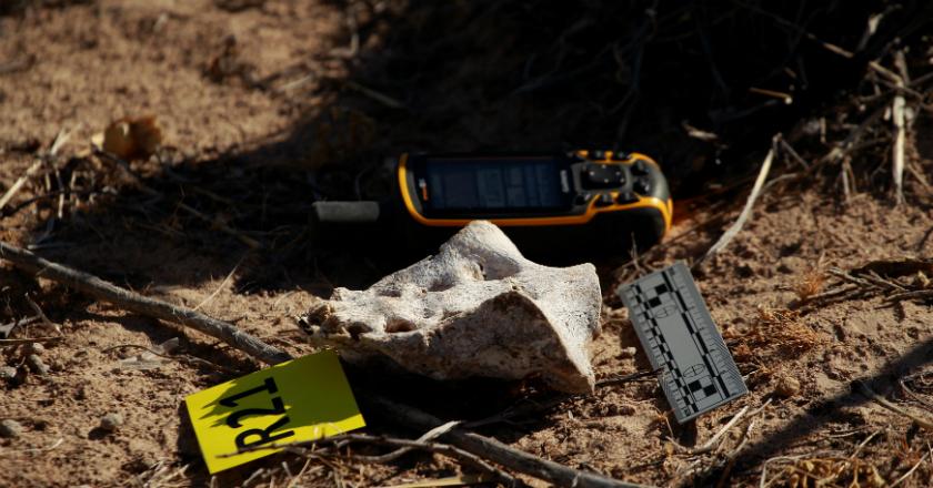 Polisi Temukan 166 Mayat Pembunuhan Obat Bius di Pemakaman Rahasia Meksiko