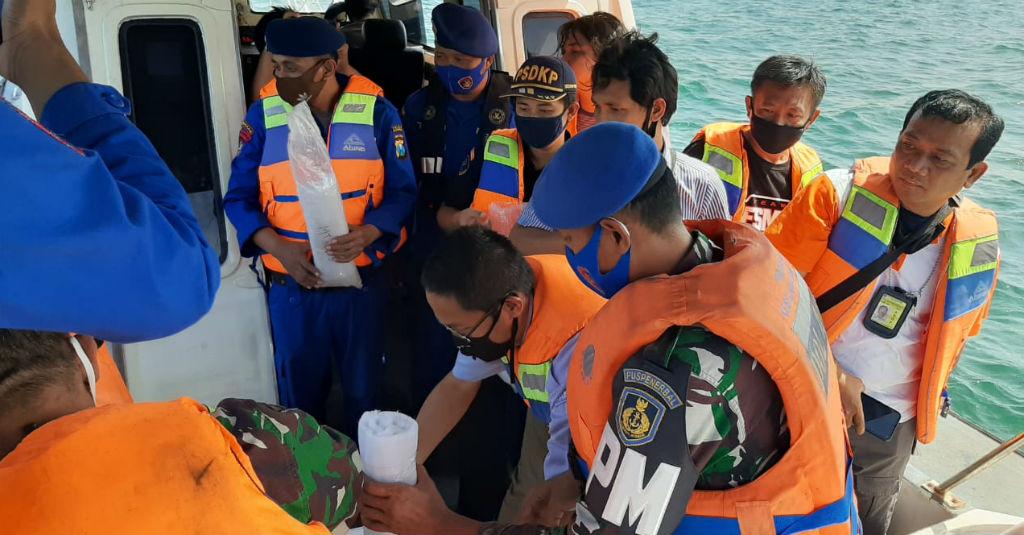 KKP Lepasliarkan 31.065 Benih Lobster Hasil Selundupan