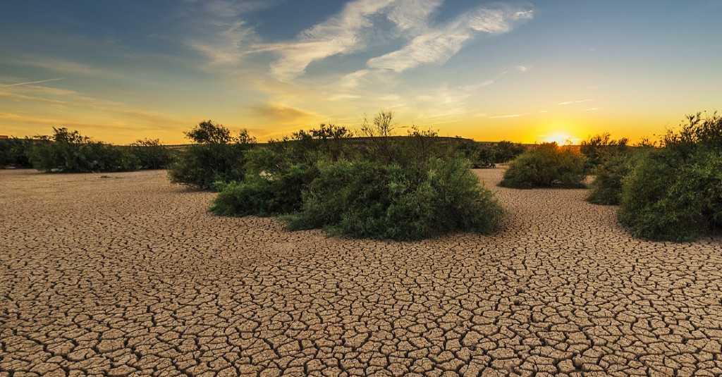 BMKG: 64 Persen Wilayah Indonesia Sudah Masuk Musim Kemarau