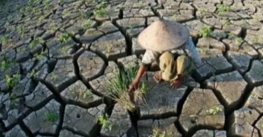 Puncak Musim Kemarau di Jatim pada Agustus 2020