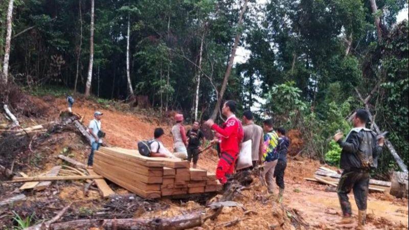 Pembalak Hutan Lindung di Aceh Terciduk, Ditemukan 100 Kubik Kayu Olahan