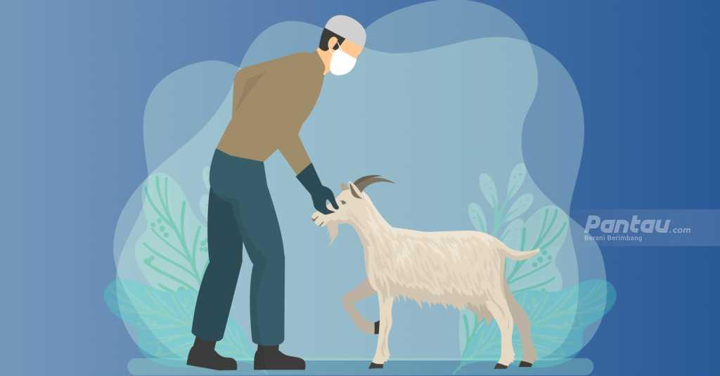 Kementan Keluarkan Protokol Kesehatan Pelaksanaan Kurban Idul Adha