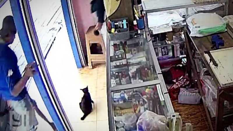 Sadisnya Pria Ini, Kucing Lagi Diam Tiba-tiba Diinjak Kepalanya Hingga Mati
