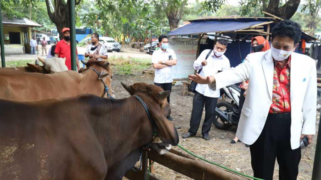 Idul Adha 1441 H, Kepala BPIP Pilih Sendiri Tiga Ekor Sapi untuk Kurban