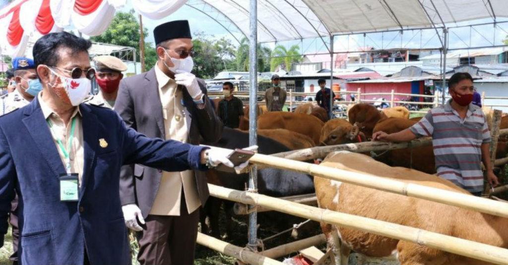 Mentan Dorong Produksi Ternak Sapi di Sulsel