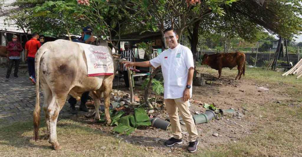 Yayasan Muslim Sinar Mas-ITC Group Sumbang Ratusan Hewan Kurban
