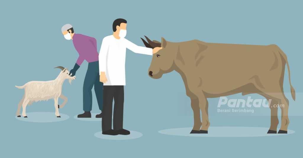 Berkurban dengan Hewan Cacat, Ini Fatwa MUI