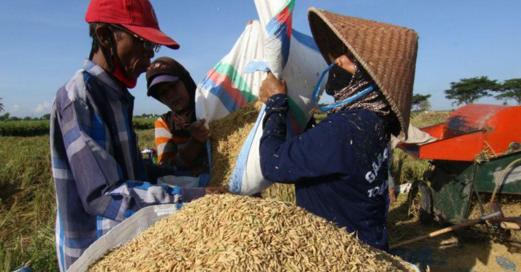 Harga Beras Premiun di Penggilingan Naik 0,13 Persen pada Juli 2020