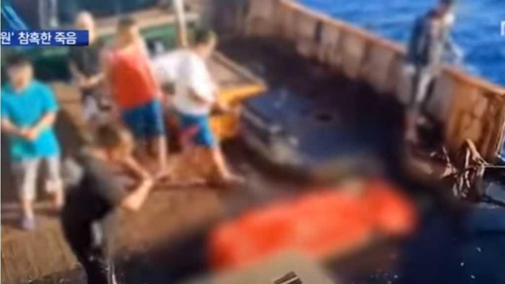 Nelangsa ABK Indonesia di Kapal China: Hanya Makan Bubur dan Bawang Bombay