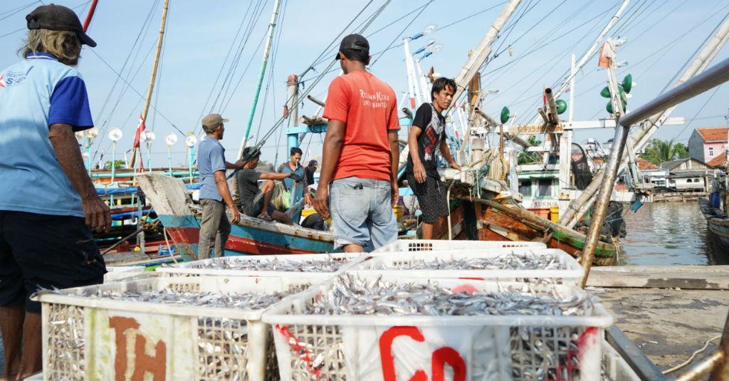 Ini Langkah KKP Pastikan Produk Perikanan Bermutu Tinggi
