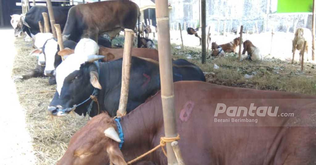 Kementan Ajak Pelaku Usaha Peternakan Komitmen Bangun Kemitraan