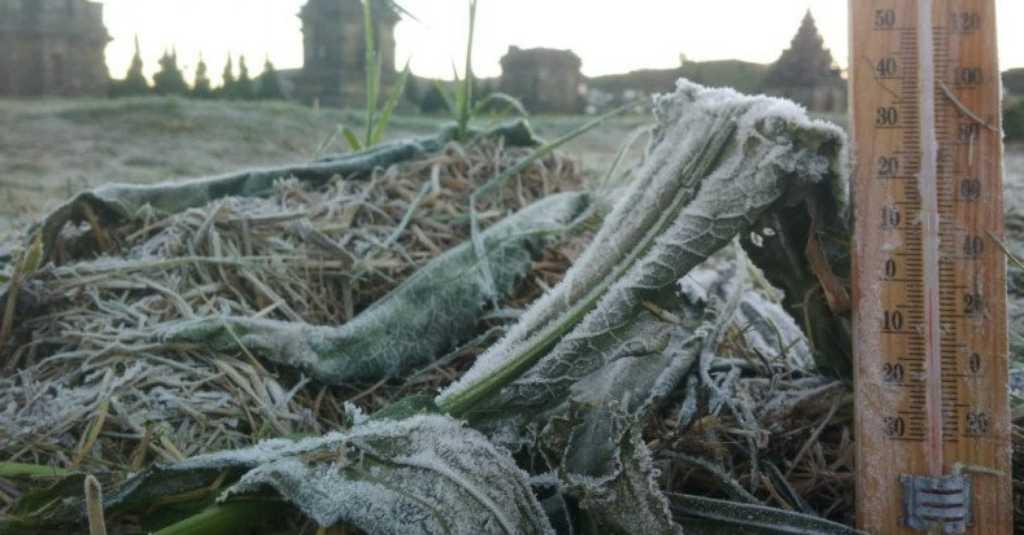 Fenomena Alam Embun Beku di Dieng Kembali Muncul