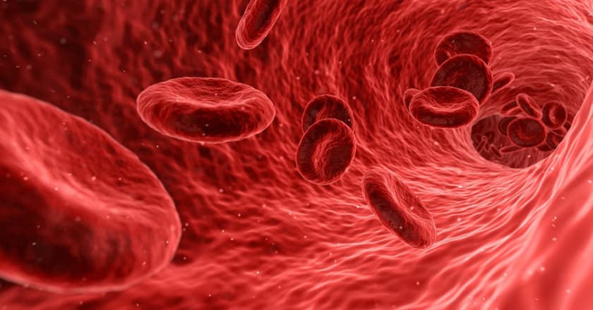 Selain Leukimia, Kenali Tipe Kanker Darah Lainnya