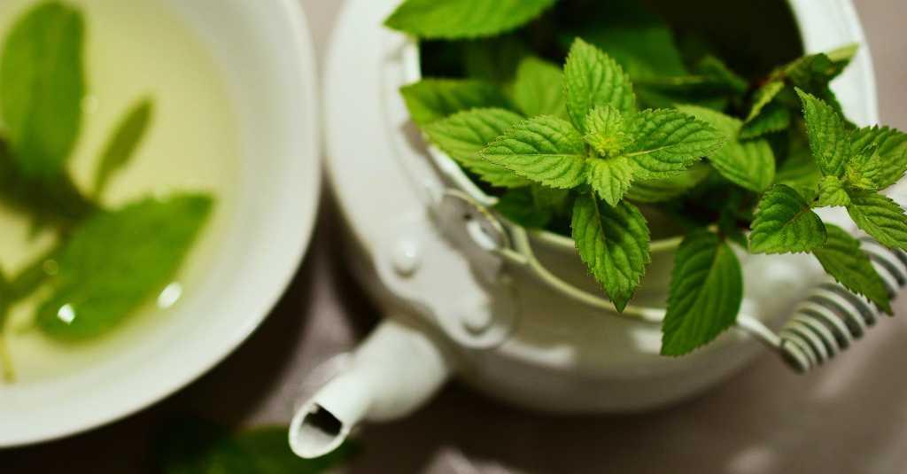 Selain Bikin Nikmat, 3 Bumbu Herbal Ini Juga Menambah Nilai Gizi