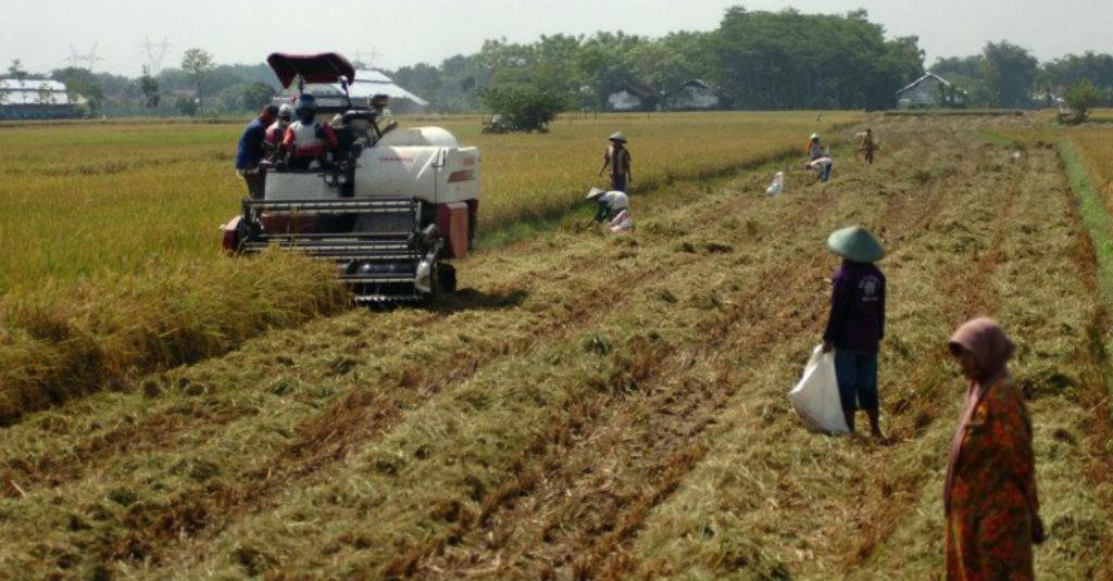 Kebijakan Modernisasi Sektor Pertanian Nasional Diapresiasi Anggota DPR