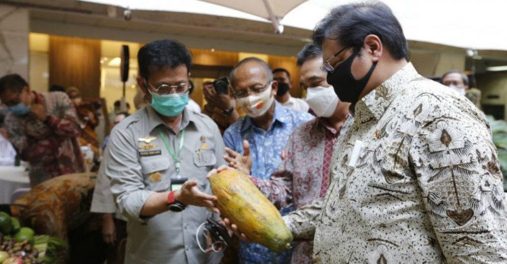 Kementan Janji Perkuat Budi Daya Varietas Buah Tropis untuk Ekspor