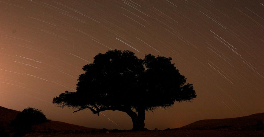 LAPAN Sebut Hujan Meteor Perseid Terjadi pada 17 Juli hingga 24 Agustus
