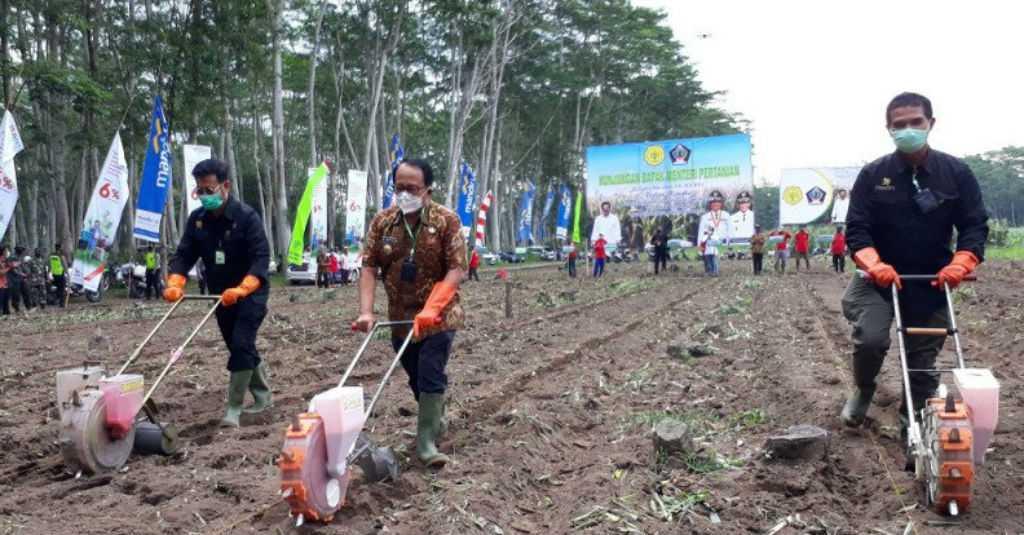Cukupi Kebutuhan Pangan, Menteri Pertanian Tanam Jagung di Blitar