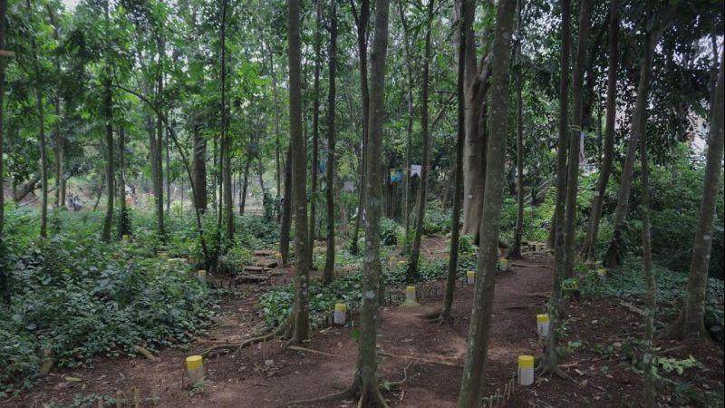 Ada Hutan Kampung Seluas 1,4 Hektare di Kota Bogor, Tertarik Berkunjung?