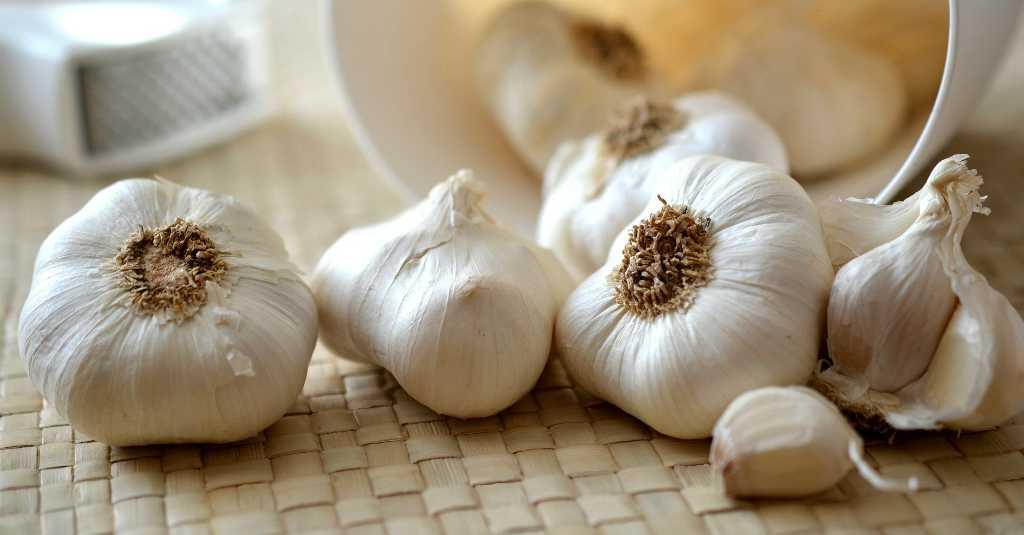 Kesalahan Mengolah Bawang Putih dan Brokoli Bisa Menghilangkan Manfaatnya