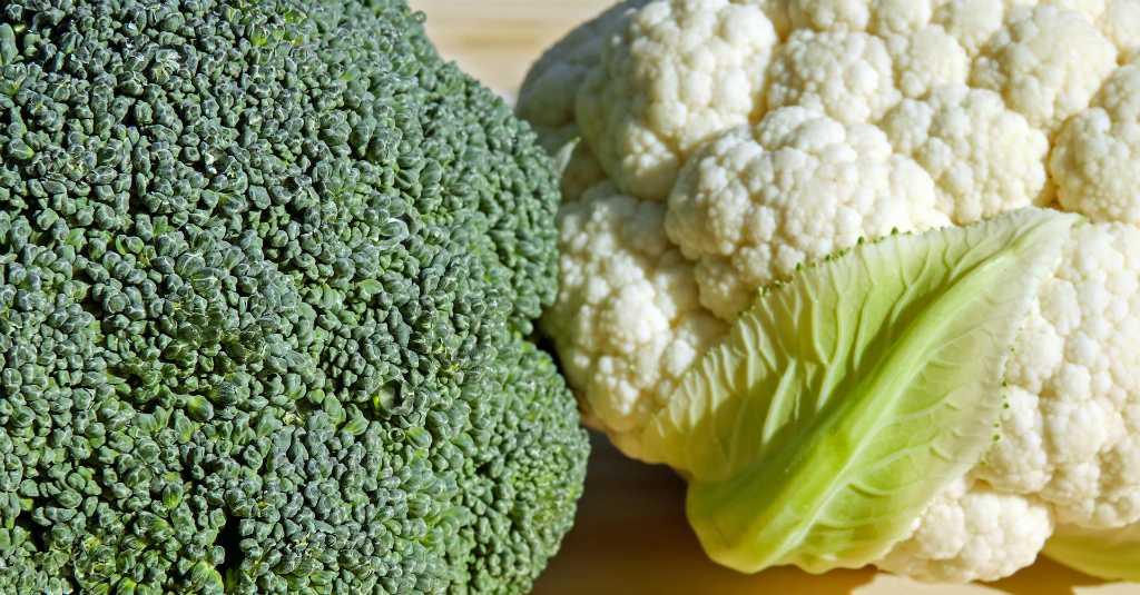 Bentuknya Mirip, Brokoli dan Kembang Kol Punya Manfaat yang Sama