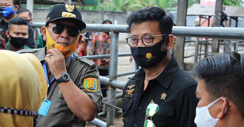 Mentan Galakkan Kawasan Korporasi Perkuat Sektor Pertanian