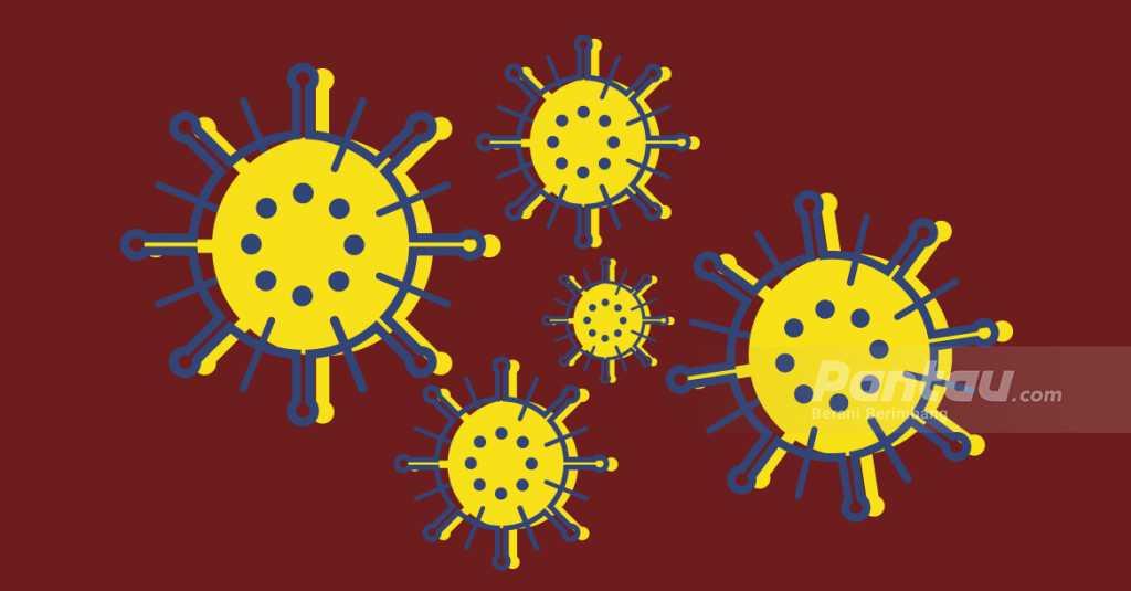 Pengamat Kritisi Kebijakan Utang untuk Tangani COVID-19