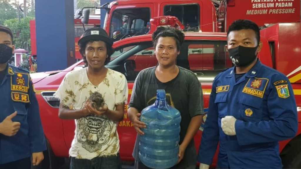 Petugas Damkar Keluarkan Anak Kucing Lucu Ini dari Dalam Galon