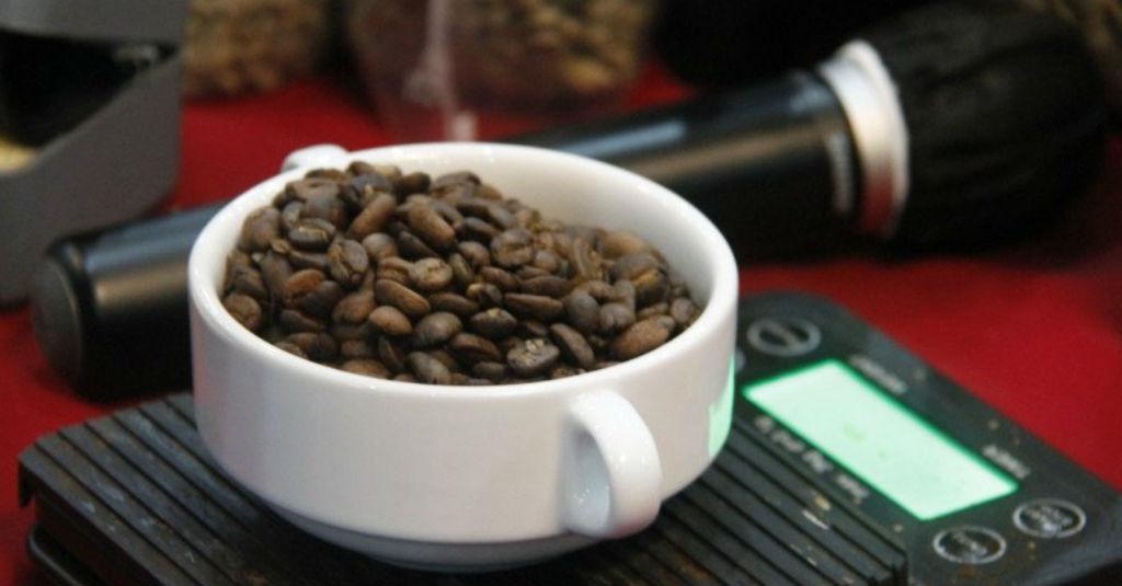 Kemenparekraf Gali Potensi Kopi Lokal di Danau Toba Dukung SDM Daerah