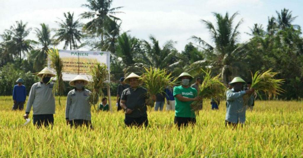 Dompet Dhuafa Bersama OK OCE Buka Jalan Capai Solusi Pangan