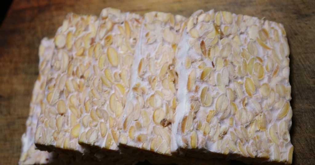 Kaya Nutrisi, Tempe Direkomendasikan Sebagai MPASI Terbaik