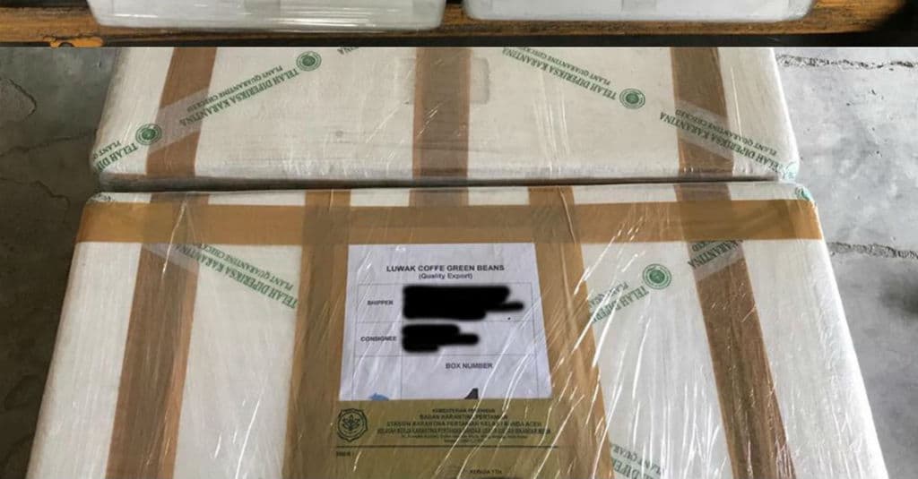 Bea Cukai Fasilitasi Ekspor Kopi Aceh ke Benua Eropa