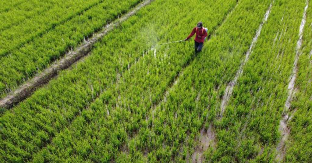 Mentan Atur Ketat Distribusi Pupuk Bersubsidi Sesuai RDKK