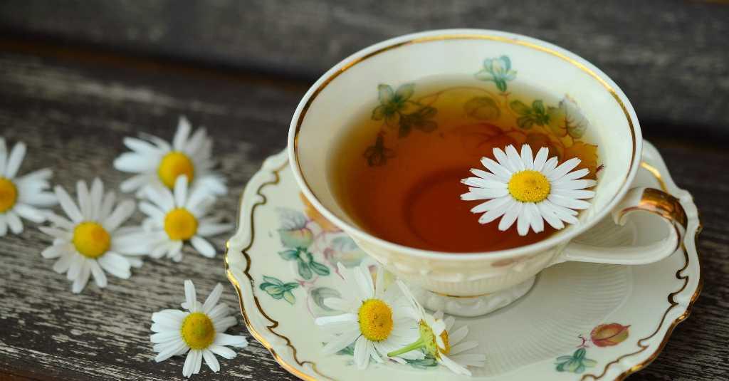 Jenis Teh Ini Dipercaya Bisa Atasi Masalah Asma Ringan