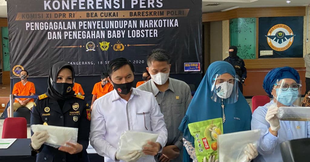 Bea Cukai Gagalkan Penyelunduan Narkotika dan Cegah Ekspor Benih Lobster