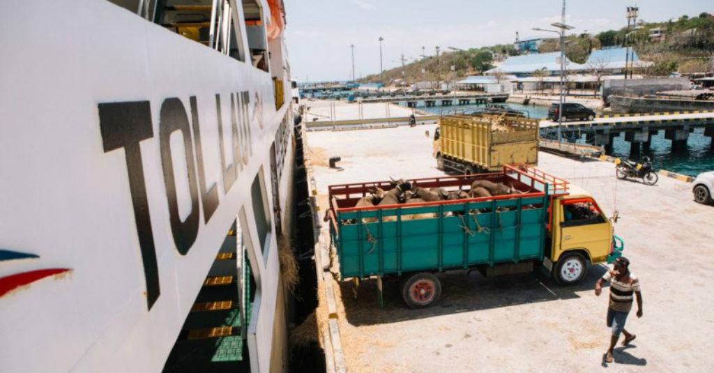 Kemenhub: Kemendag Berperan Dominan Isi Muatan Balik Tol Laut