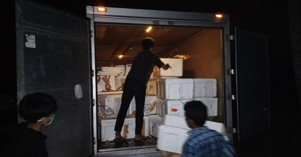 KKP Lepasliarkan 1,5 Juta Ekor Benih Lobster Hasil Sitaan