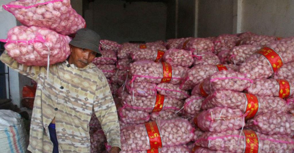 Anggota DPR Dukung Pengusutan Impor Bawang Putih yang Tak Gunakan SPI