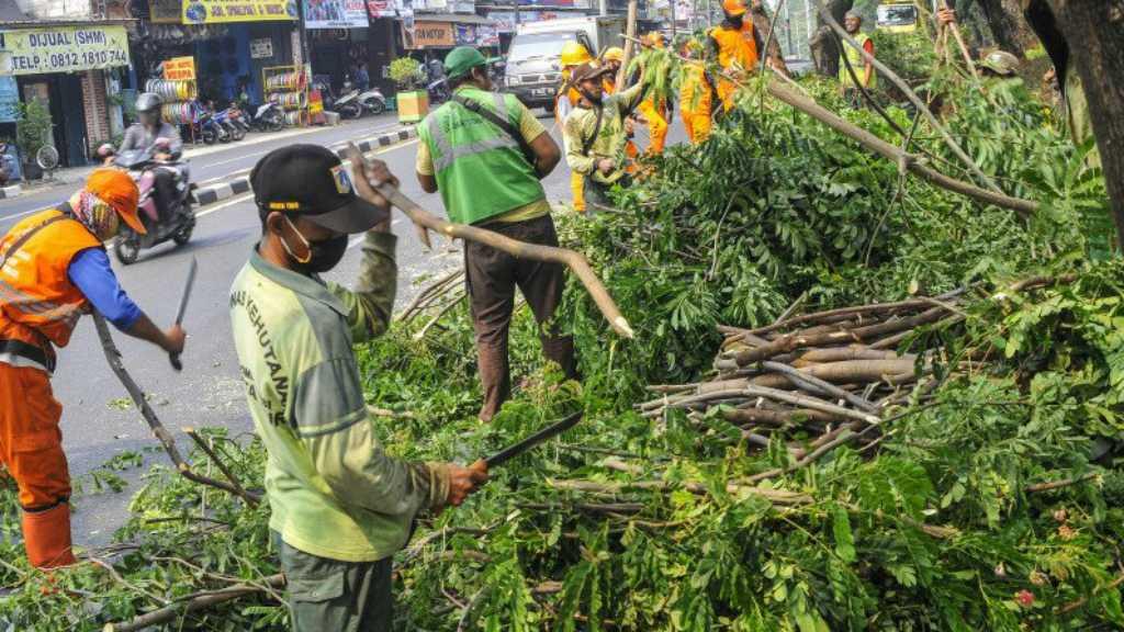 Hampir 6.000 Pohon Dipangkas di Wilayah Jakarta Pusat