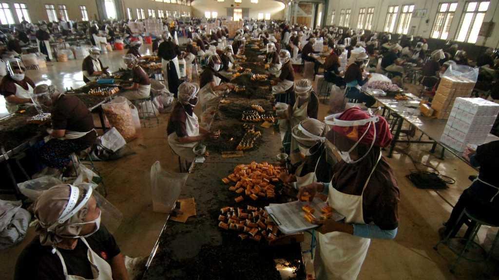 Kata Satgas COVID-19, Pengendalian Klaster Industri-Perkantoran Itu Gampang