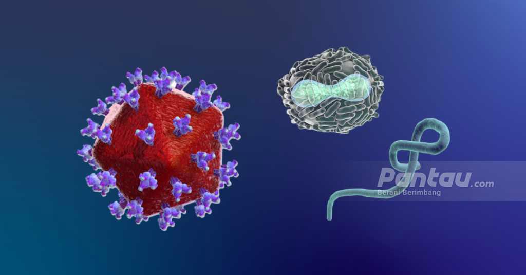 Mutasi Virus COVID-19 Membuat Penyebarannya Jauh Lebih Cepat