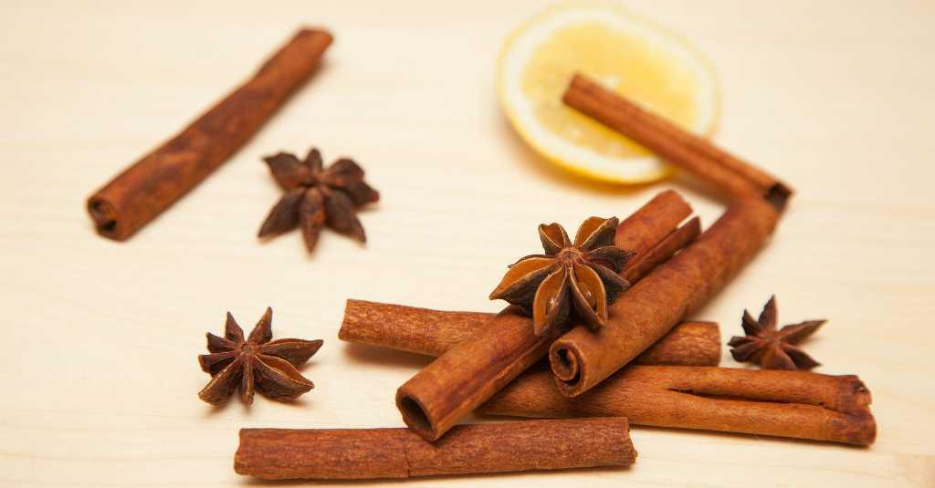 Kayu Manis dan Lemon Bisa Jadi Bahan Antiseptik Alami yang Aman untuk Anak