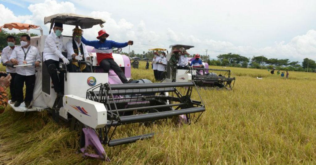Kejar Produksi Musim II, Mentan: Lahan Tertanam Capai 87 Persen