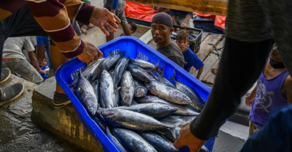 Meski Pandemi, KKP Sebut Perikanan Tangkap Semakin Prospektif